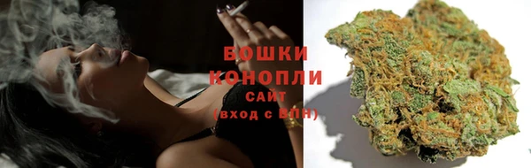 прущие грибы Покачи