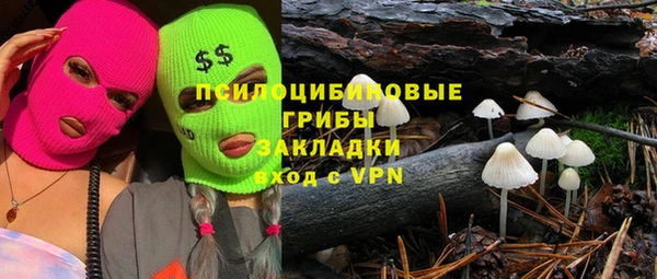 прущая мука Киселёвск