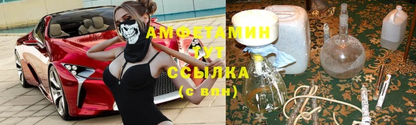 гидра Щучье