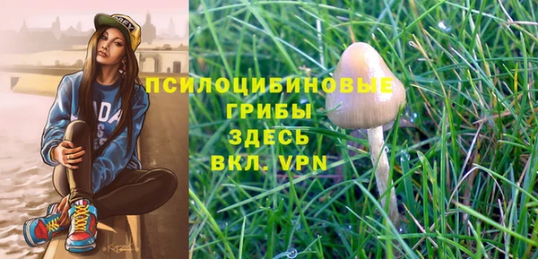 прущая мука Пестово