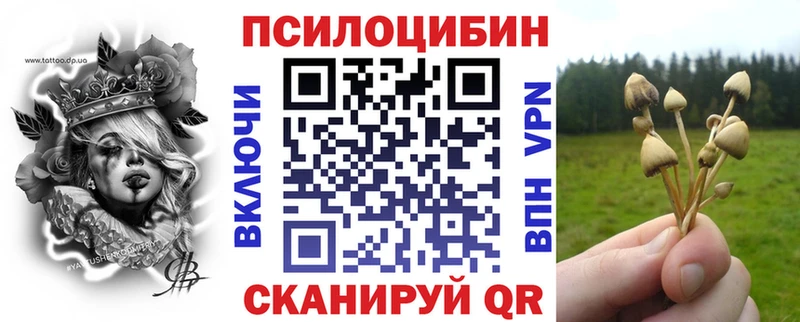 Галлюциногенные грибы Cubensis  купить наркотики сайты  Старая Русса 